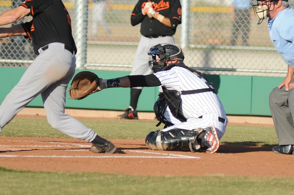 Seals_2019-08-23 (396).JPG - (c)2010 DeVetter